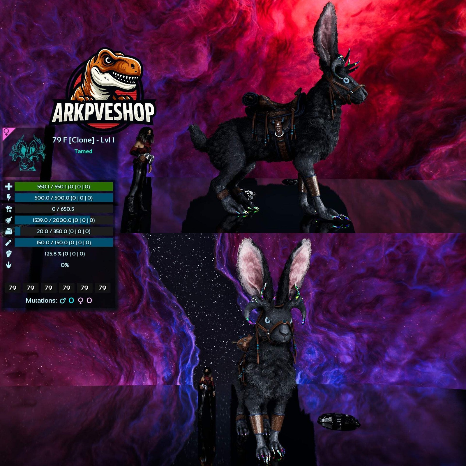 Burrowdoe / Burrowbuck Lvl 1 clone ASA PVE 🦖ARK Survival Ascended