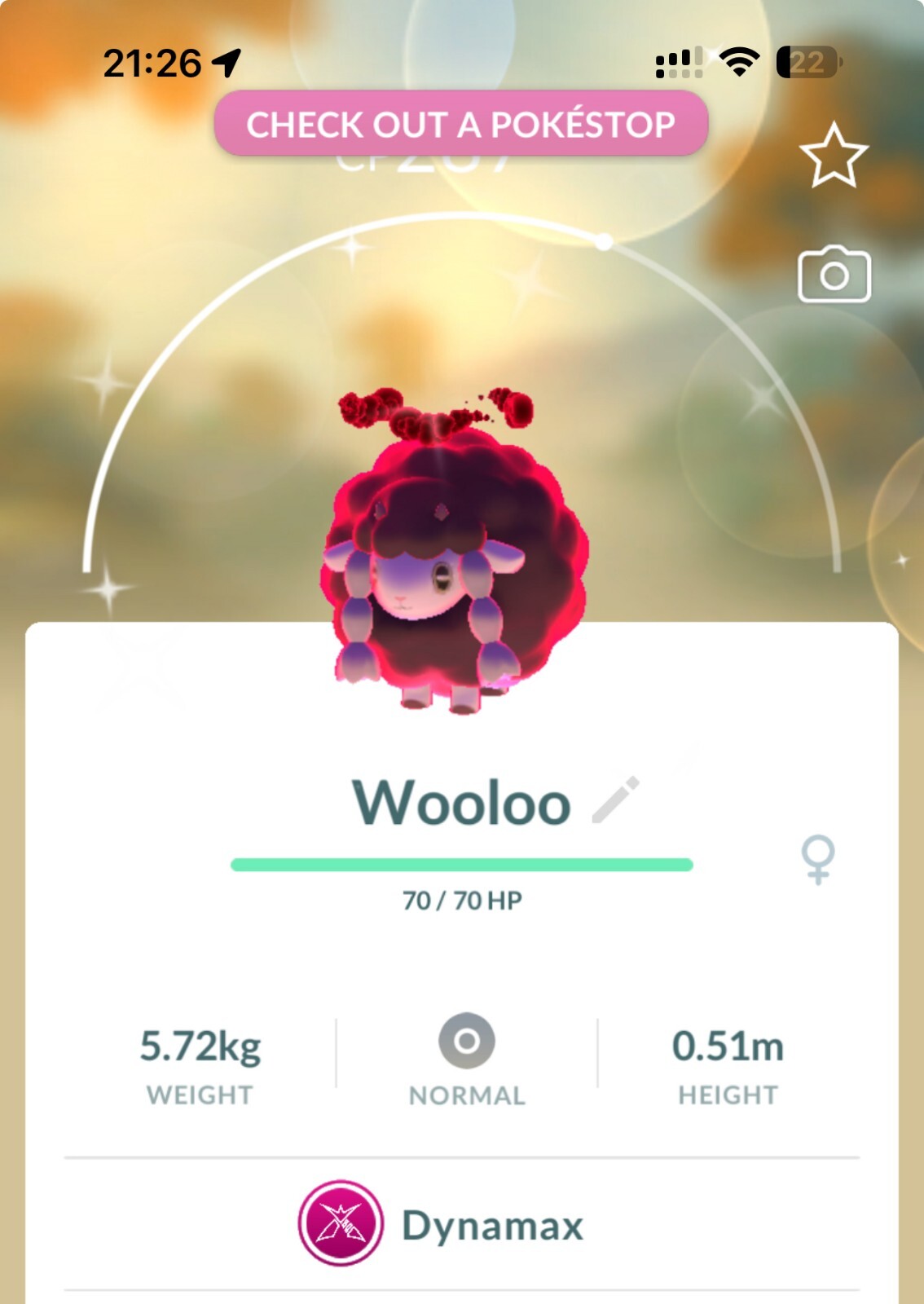 Shiny Dynamax Wooloo – Trade 20kstardust – Registered shiny already require