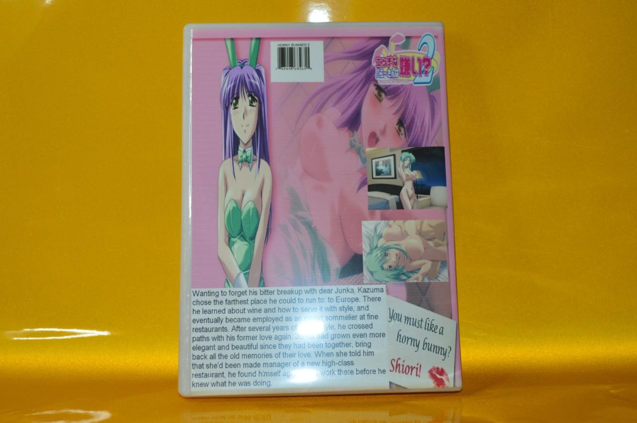 Do You Like Horny Bunnies 2 – PC Game Anime Adult Dating Sim Japanese Bishoujo !