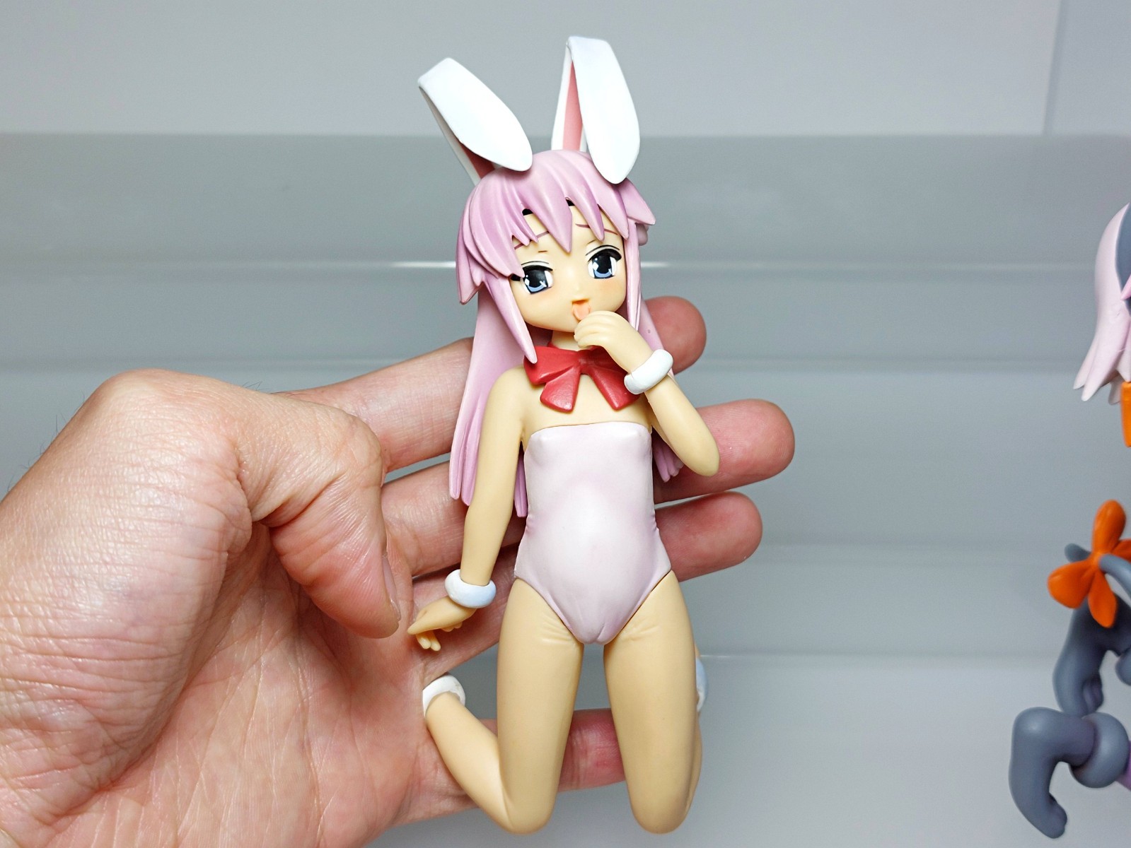 Hajimete no Oishasan Figure Asakura Maina (Bunny) Yuuna (Cat) Girl 4.6-5.1in