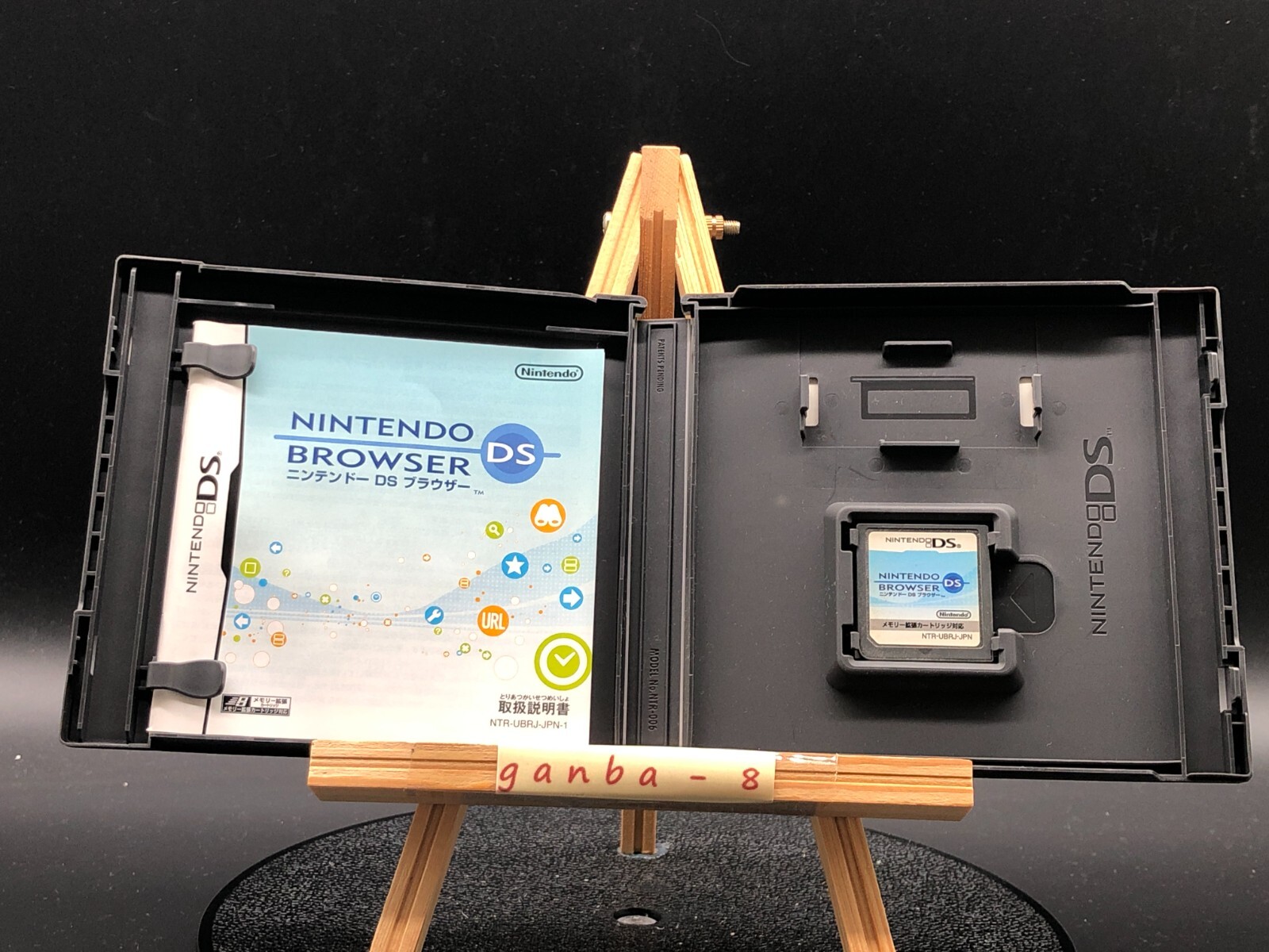 Nintendo DS & DSi Browser (Nintendo DS,2006) from japan