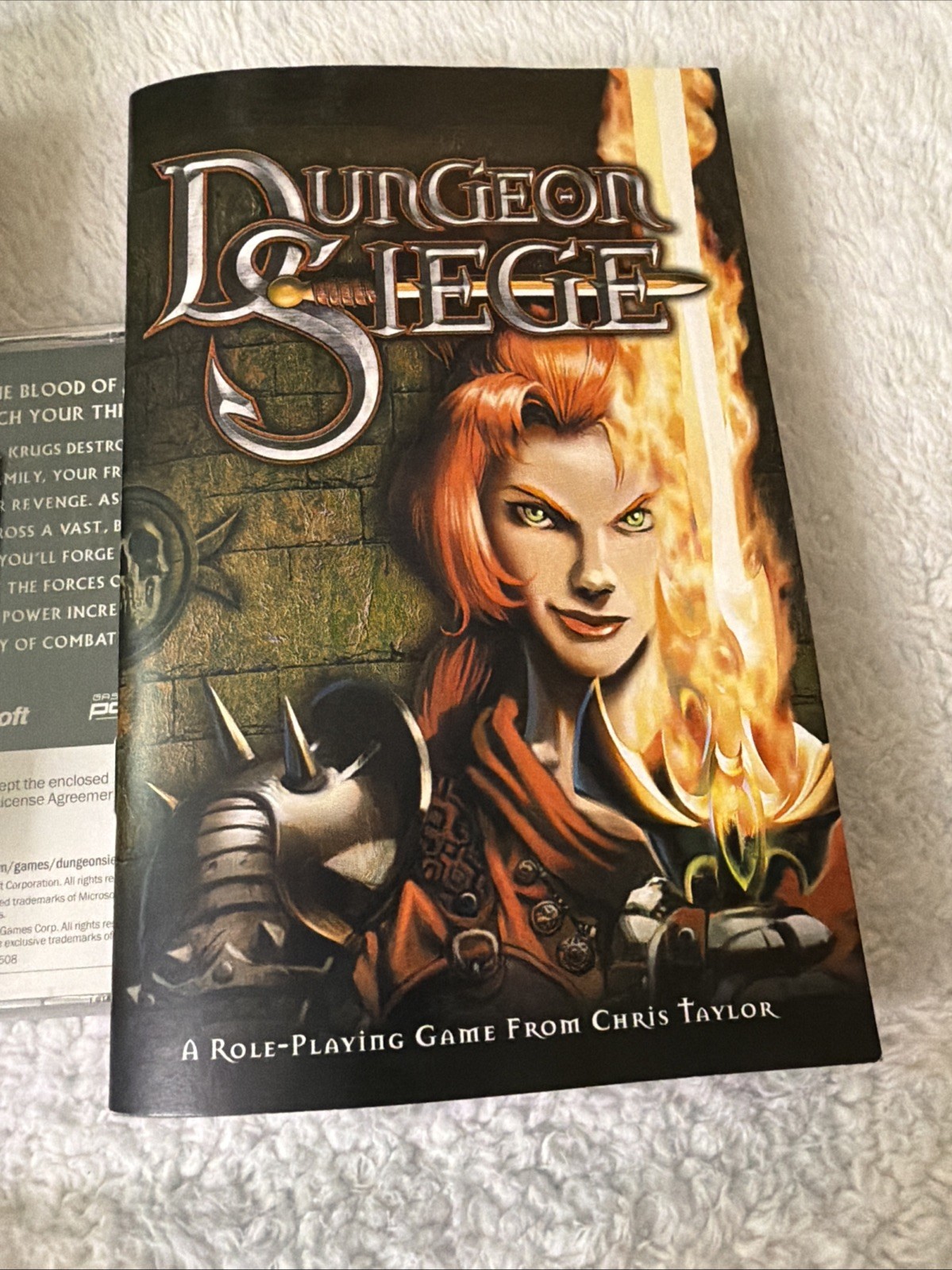 Dungeon Siege PC CD ROM Video Game 2 CD Role Playing VTG CIB Chris Taylor