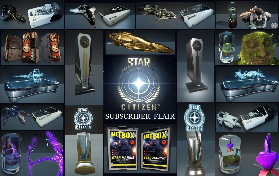 ✨ STAR CITIZEN SUBSCRIBER EXCLUSIVE HANGAR FLAIR ✨ DOME MODEL TROPHY POSTER