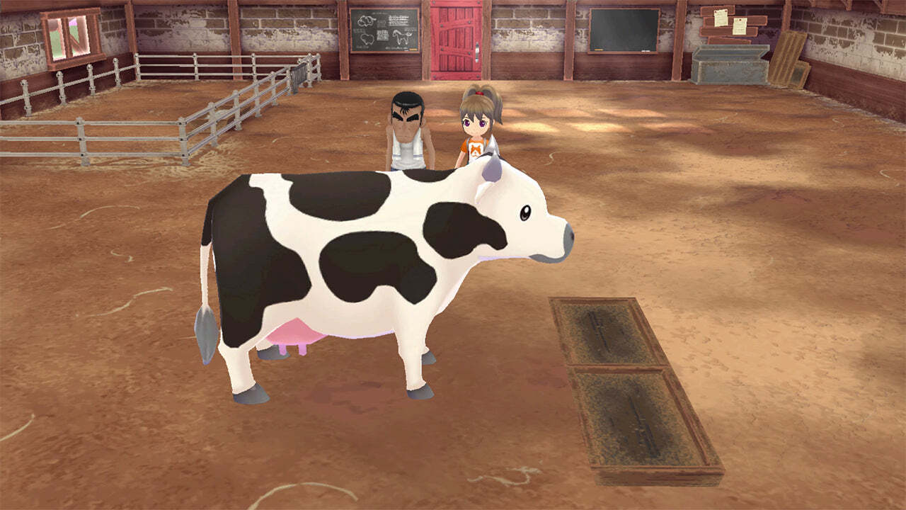 STORY OF SEASONS A WONDERFUL LIFE PREMIUM EDITION – PS5