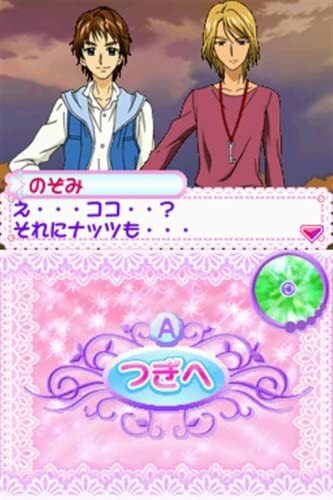 USED Nintendo DS Yes! PreCure 5 Go Go Zenin Shu Go! Dream Festival 92398 JAPAN