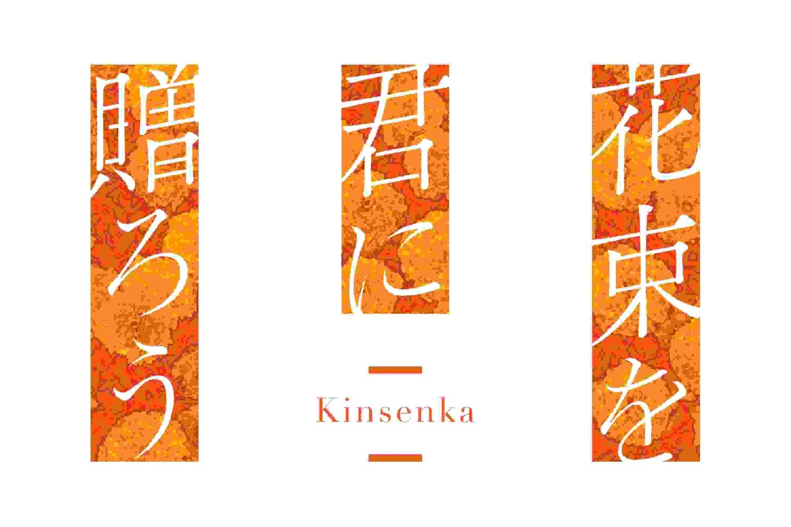 Kinsenka Switch NEW English Supported Multi-Language Japan Import