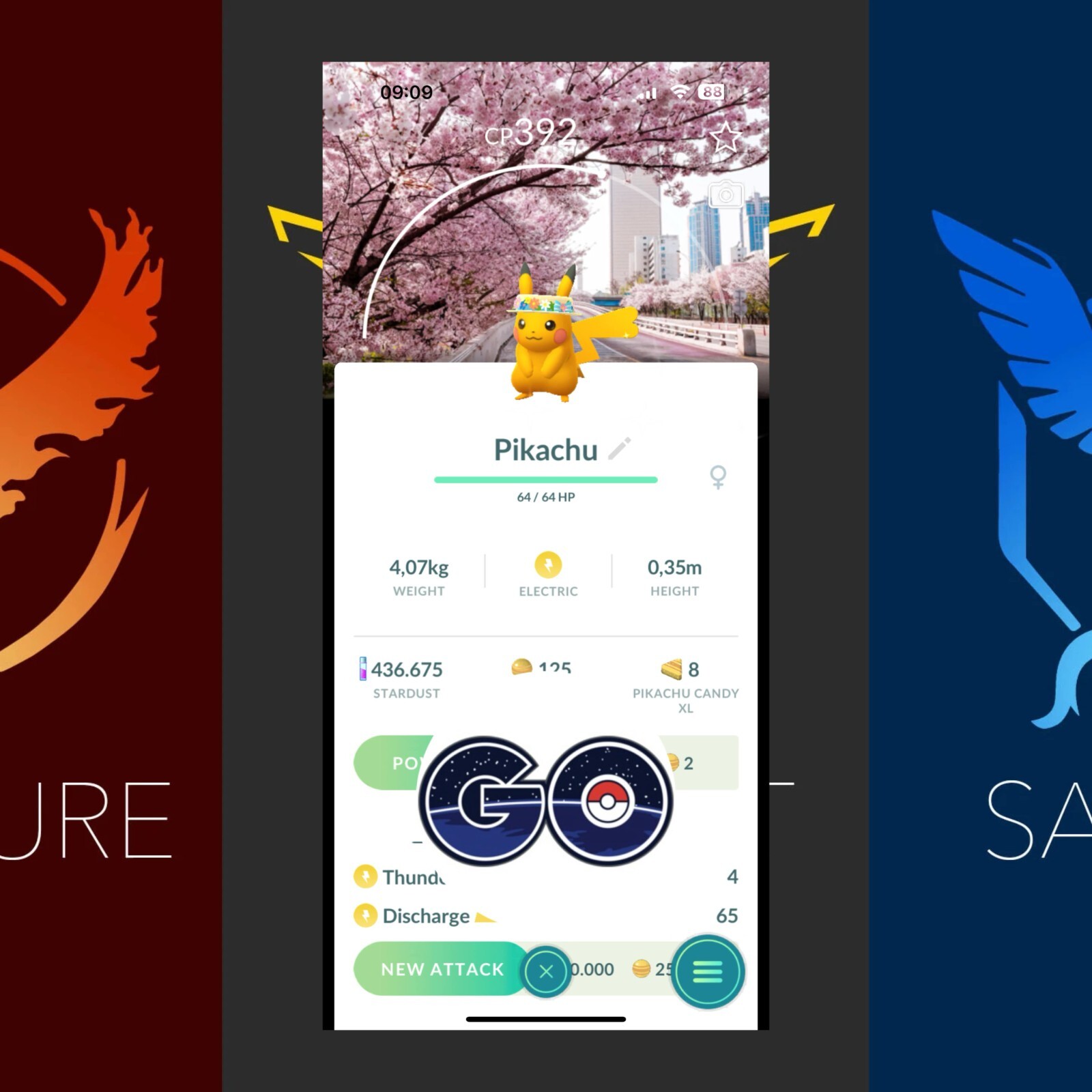 Pokémon Go – Shiny Pikachu Flower hat✨-Yeouido Cherry Blossoms Background-P’TC