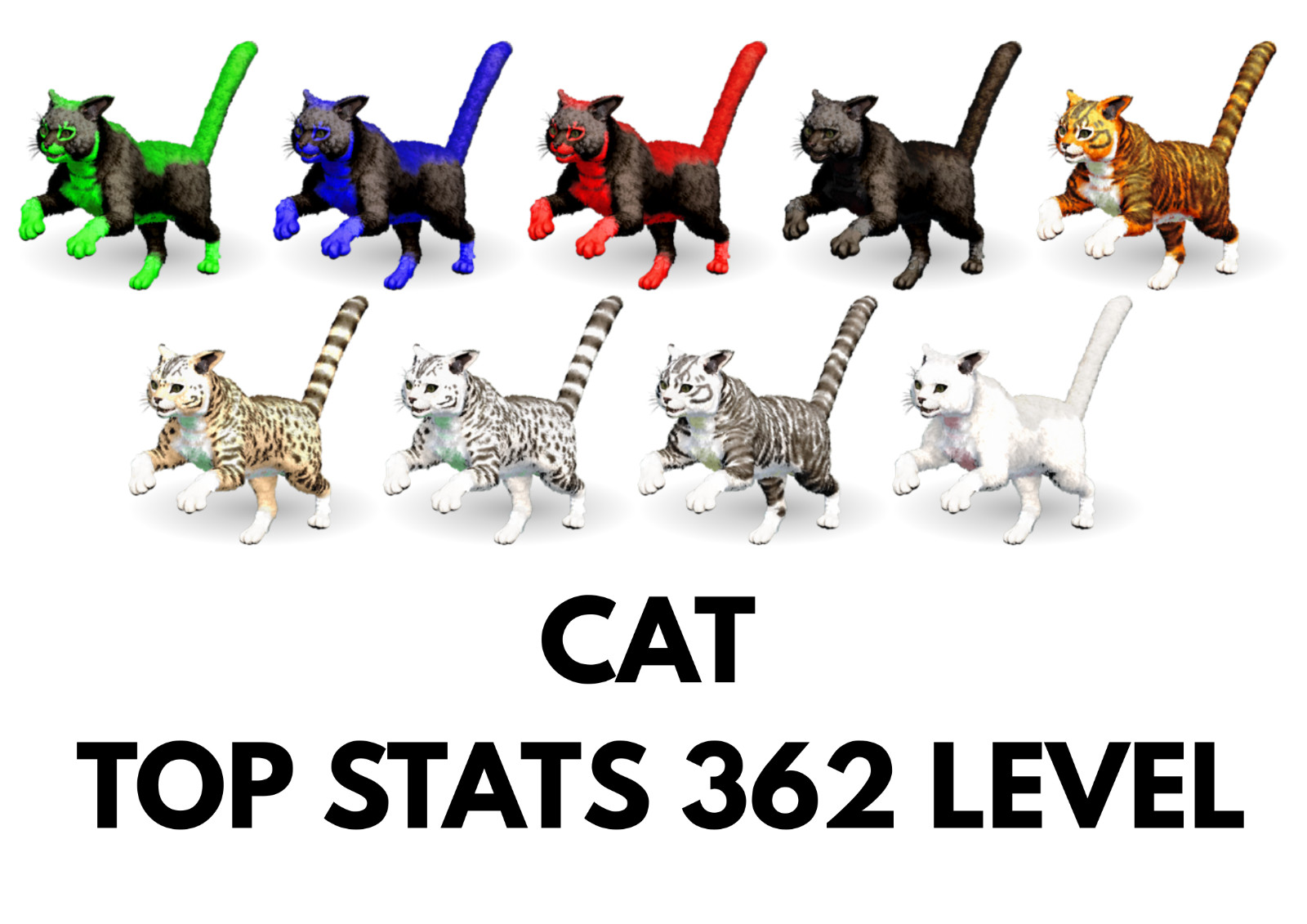 Cat TOP STATS Ark Survival Ascended Official PVE