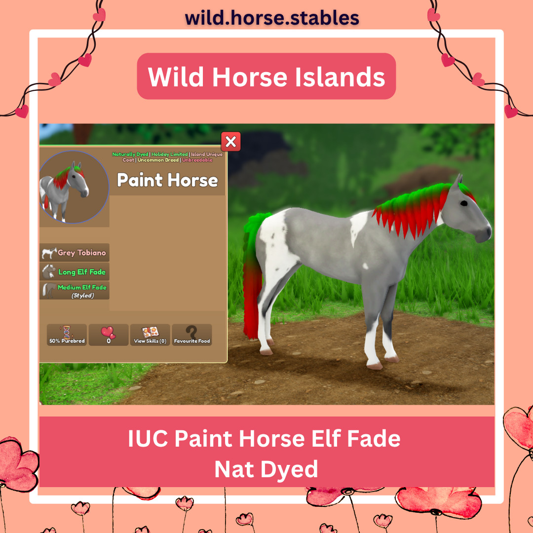 Wild Horse Islands – Winter/Holiday Event Naturally Dyed Horses
