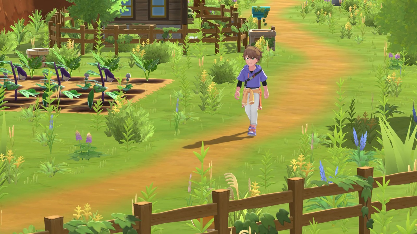 Harvest Moon: Home Sweet Home Special Edition – Playstation 5