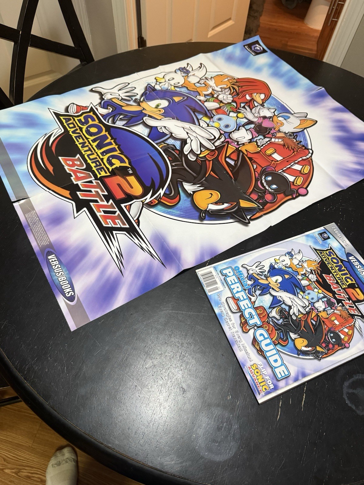 Versus Books Sonic Adventure 2 + Sonic Advance Perfect Guide W/POSTER