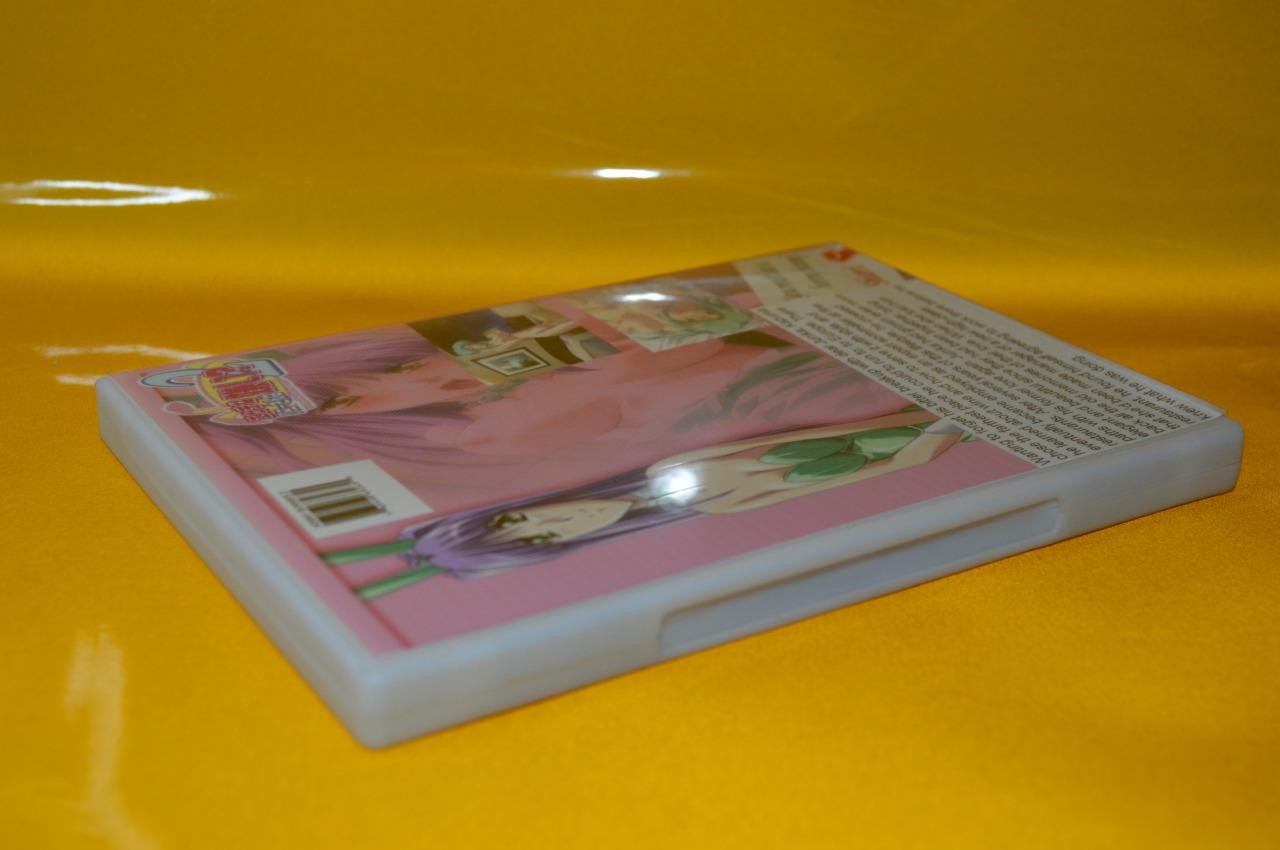 Do You Like Horny Bunnies 2 – PC Game Anime Adult Dating Sim Japanese Bishoujo !