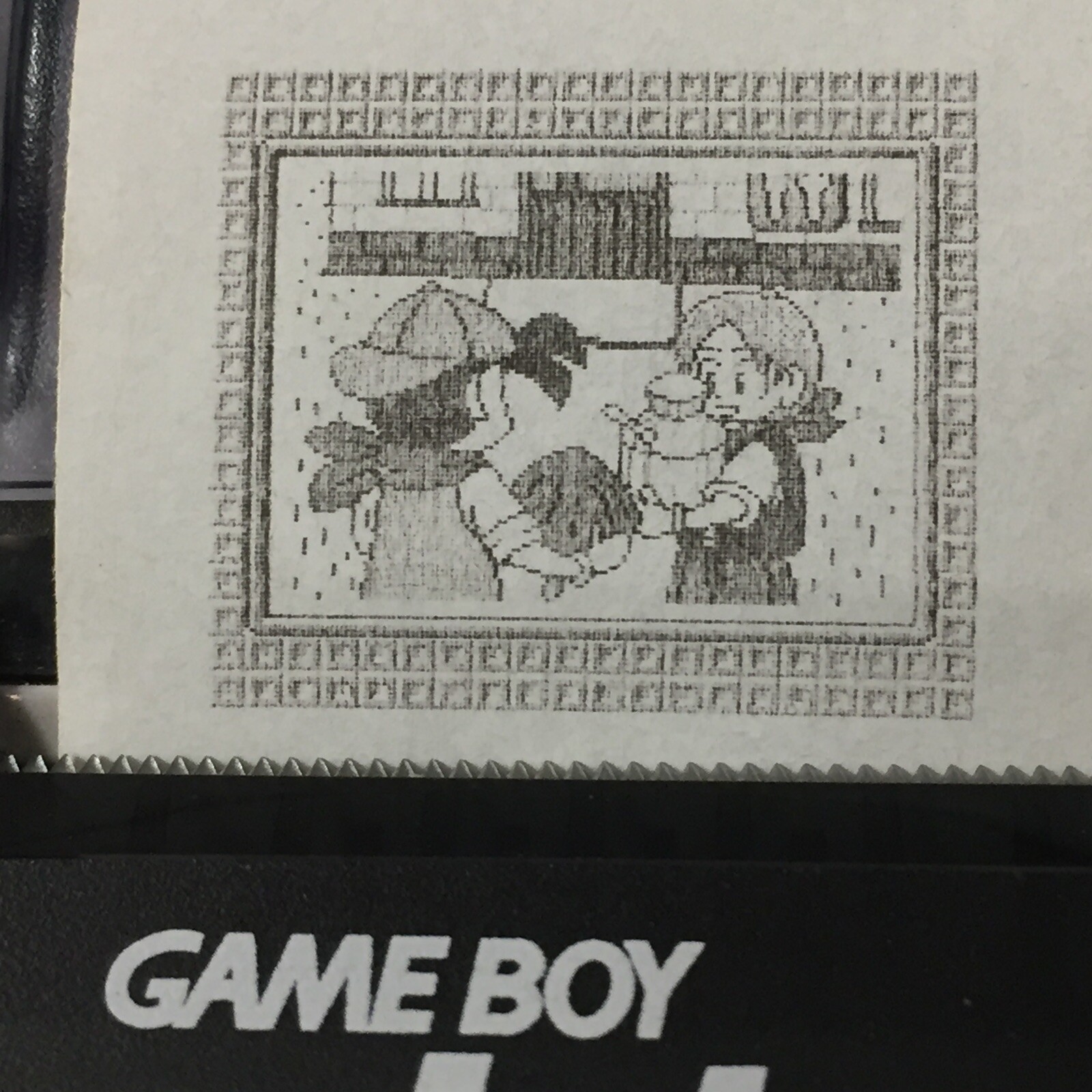 Harvest Moon 2 (GBC) ALL Photos – Game boy Printer Print-outs (64)