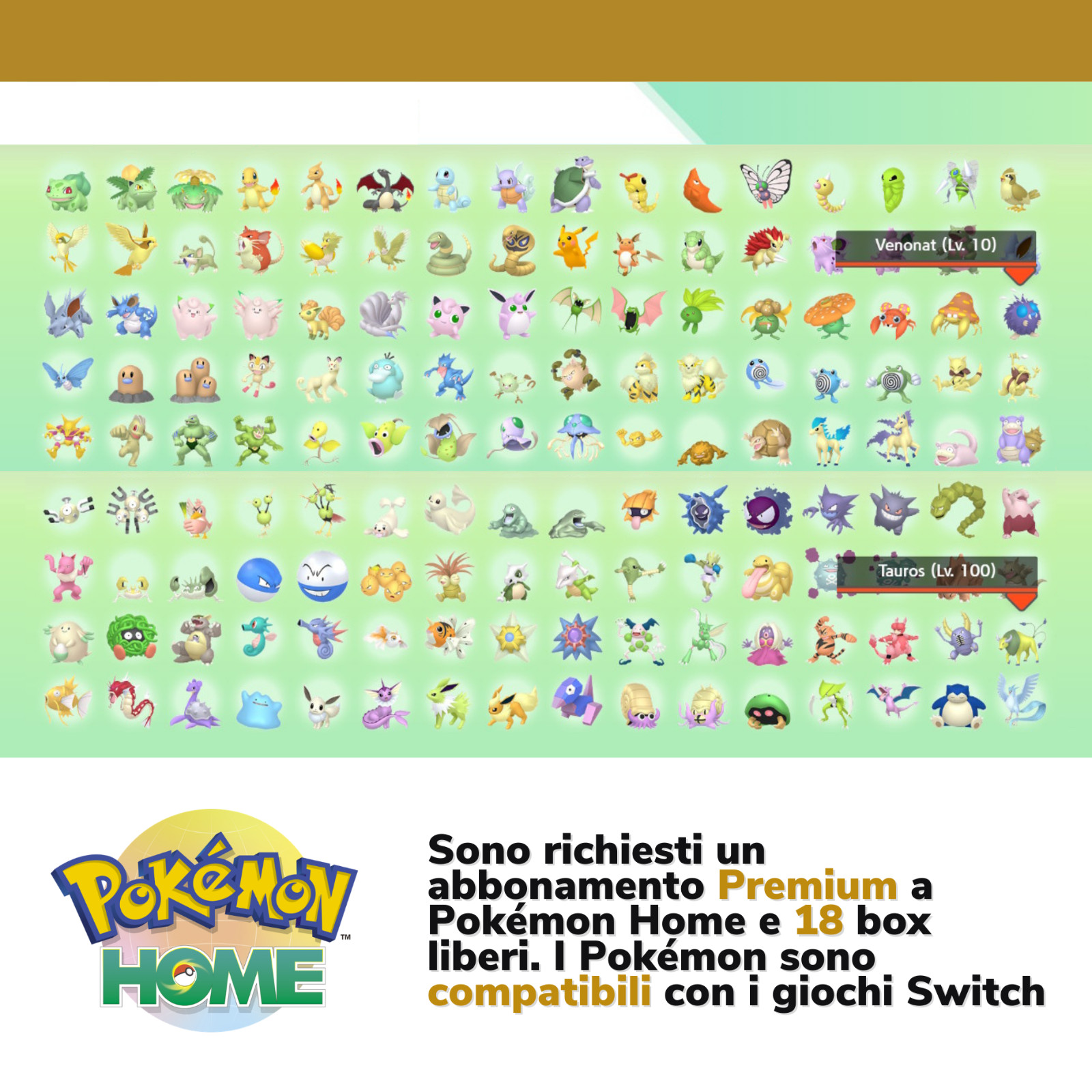 Pokemon HOME Gold Silver Legit 2000s Shiny Living Dex Pokedex Complete Johto