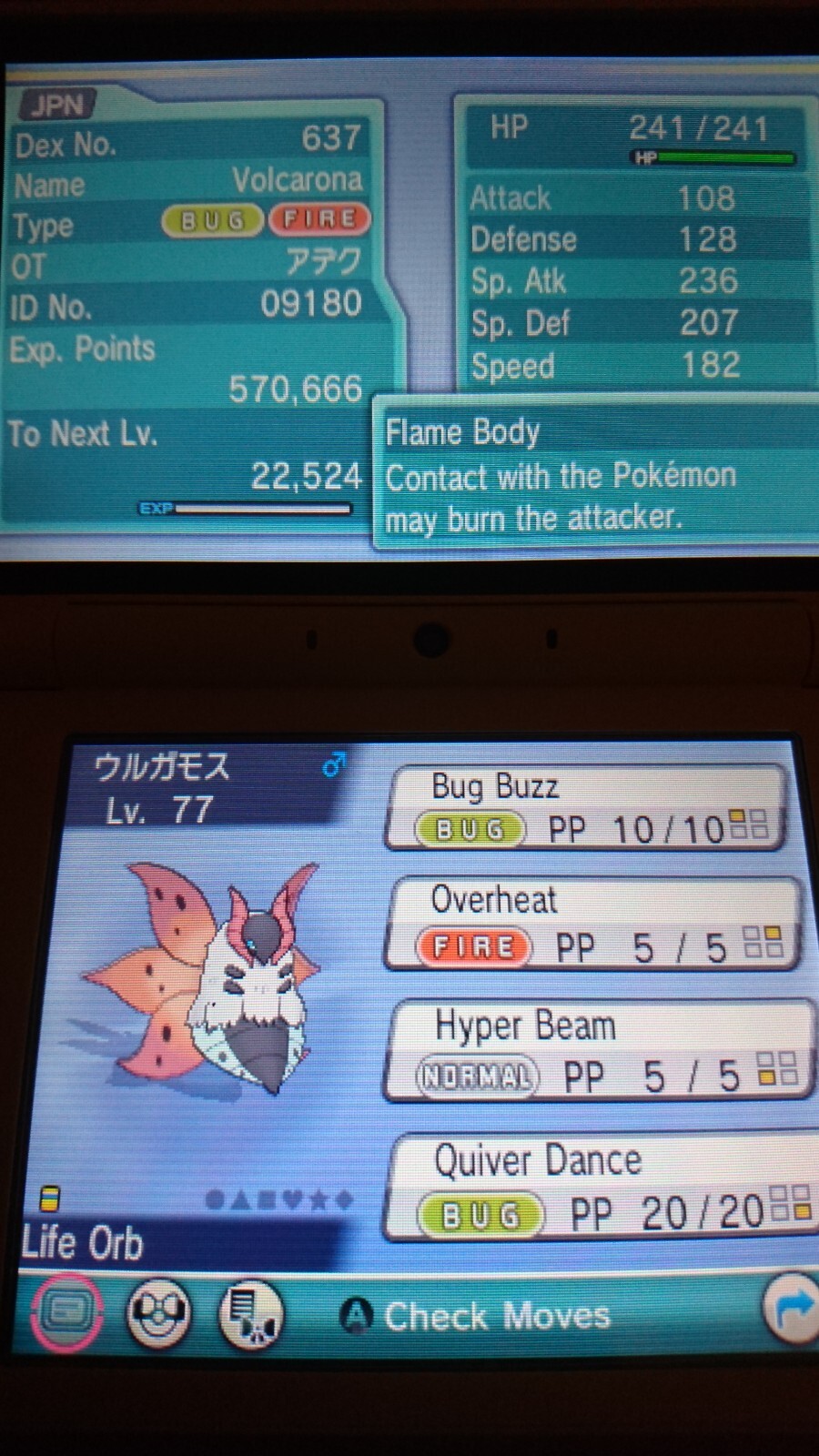 ✨Alder’s Volcarona EVENT✨Pokémon Sword Shield Scarlet Violet HOME (💯Legal)