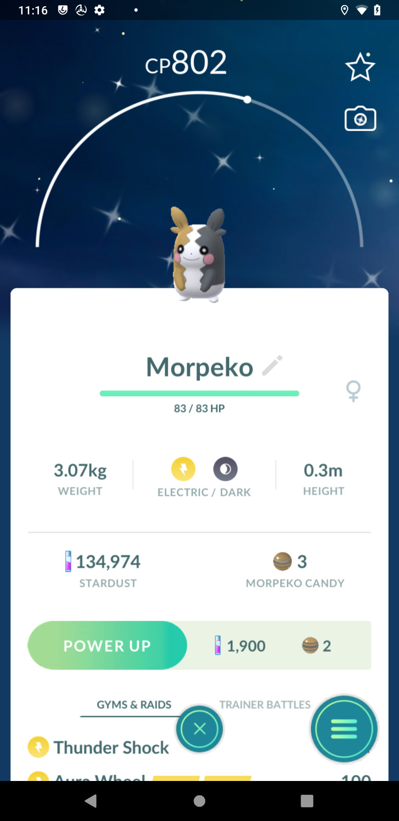 Shiny Morpeko – Tr-de 1M stardust