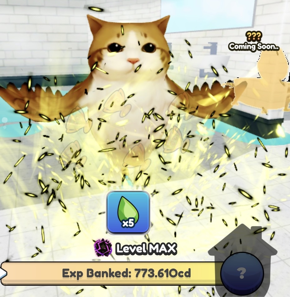 Brainrot Evolution | Rare Meowl – 50Qa Damage 380% Brainrot