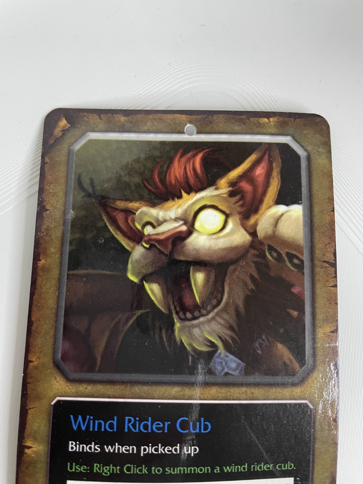 World of Warcraft Wind Rider Cub Unused Code Tag for In-Game Pet