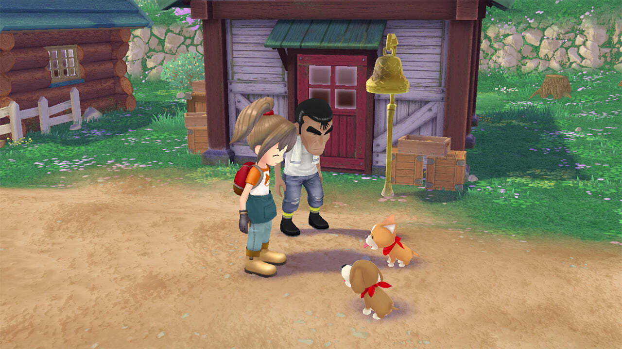 STORY OF SEASONS A WONDERFUL LIFE PREMIUM EDITION – PS5