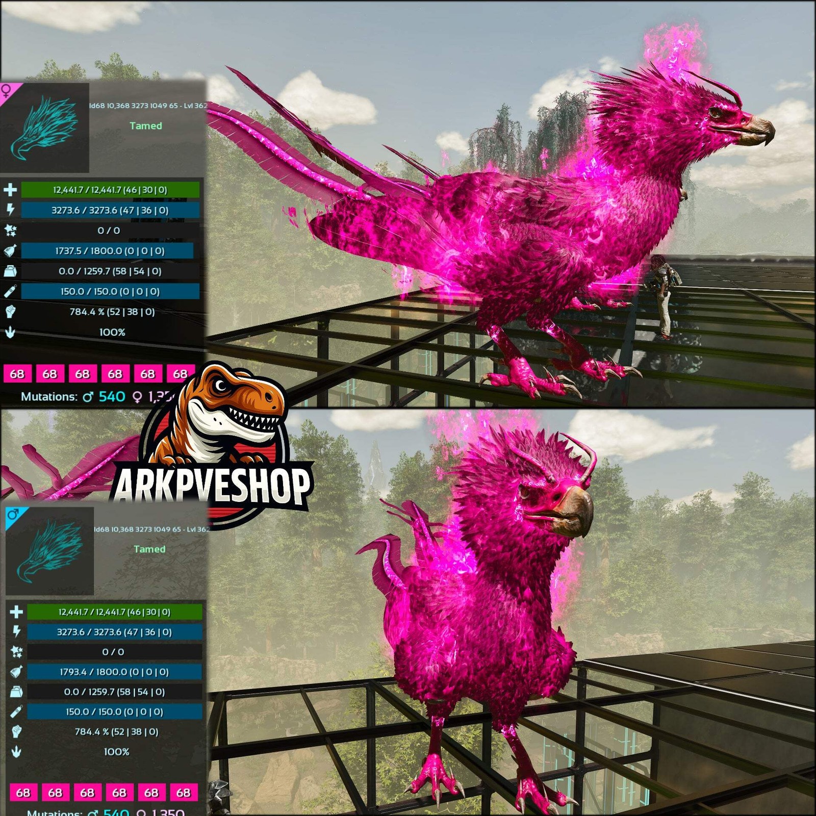 Phoenix Lvl 362 ASA PVE 🦖ARK Survival Ascended