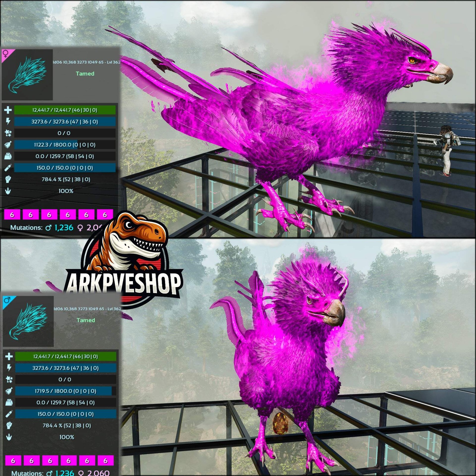 Phoenix Lvl 362 ASA PVE 🦖ARK Survival Ascended