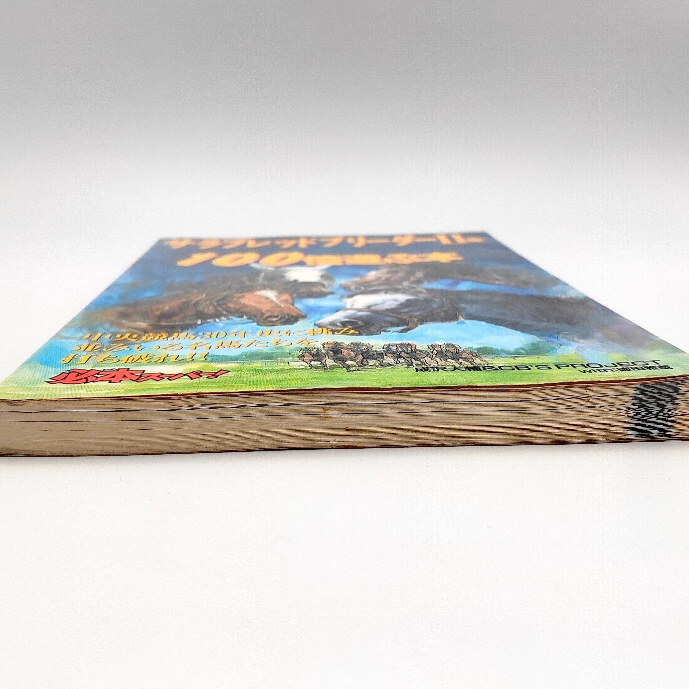 Thoroughbred Breeder 2 A book to play 100 times Guide Nintendo Super Famicom SFC