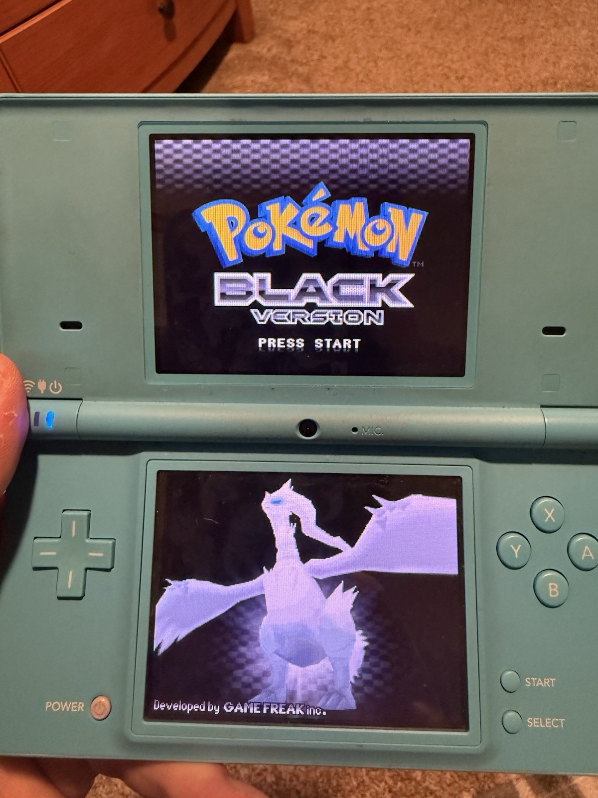 Pokémon Black Version DS, Original owner trying to get rid of collection