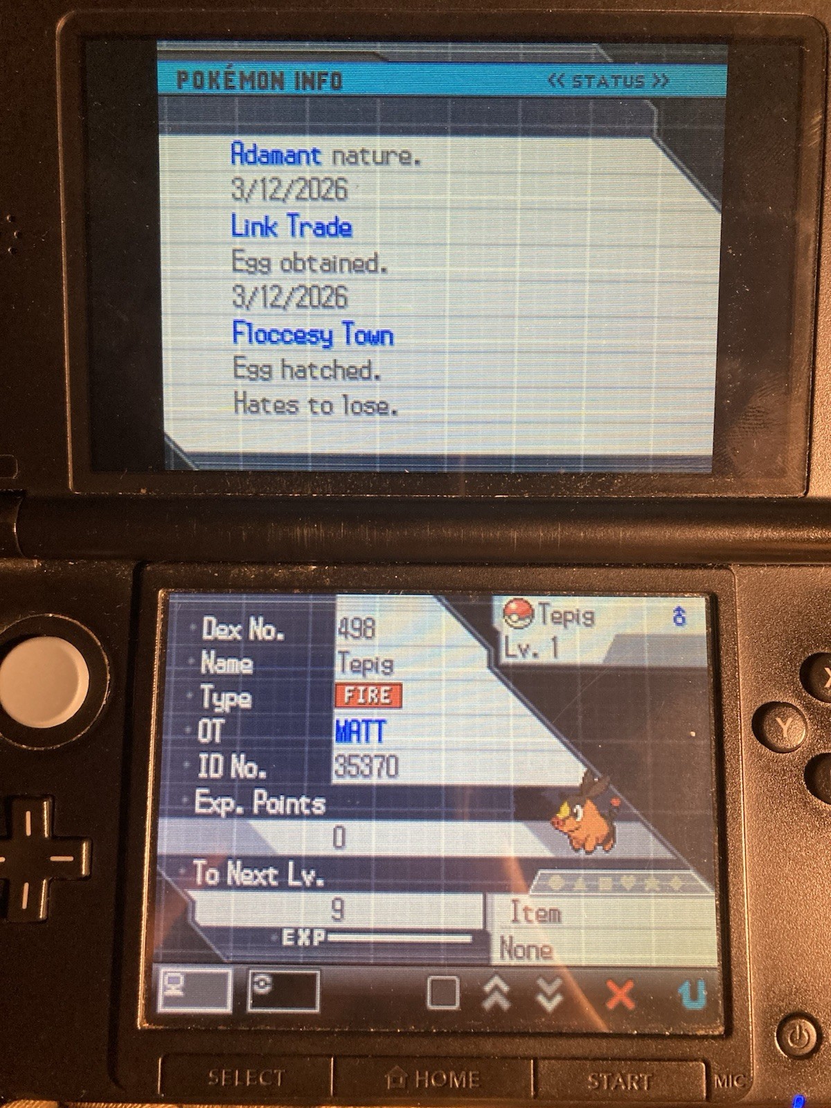 Pokemon Black & White / Black 2 & White 2 Features RESTORED