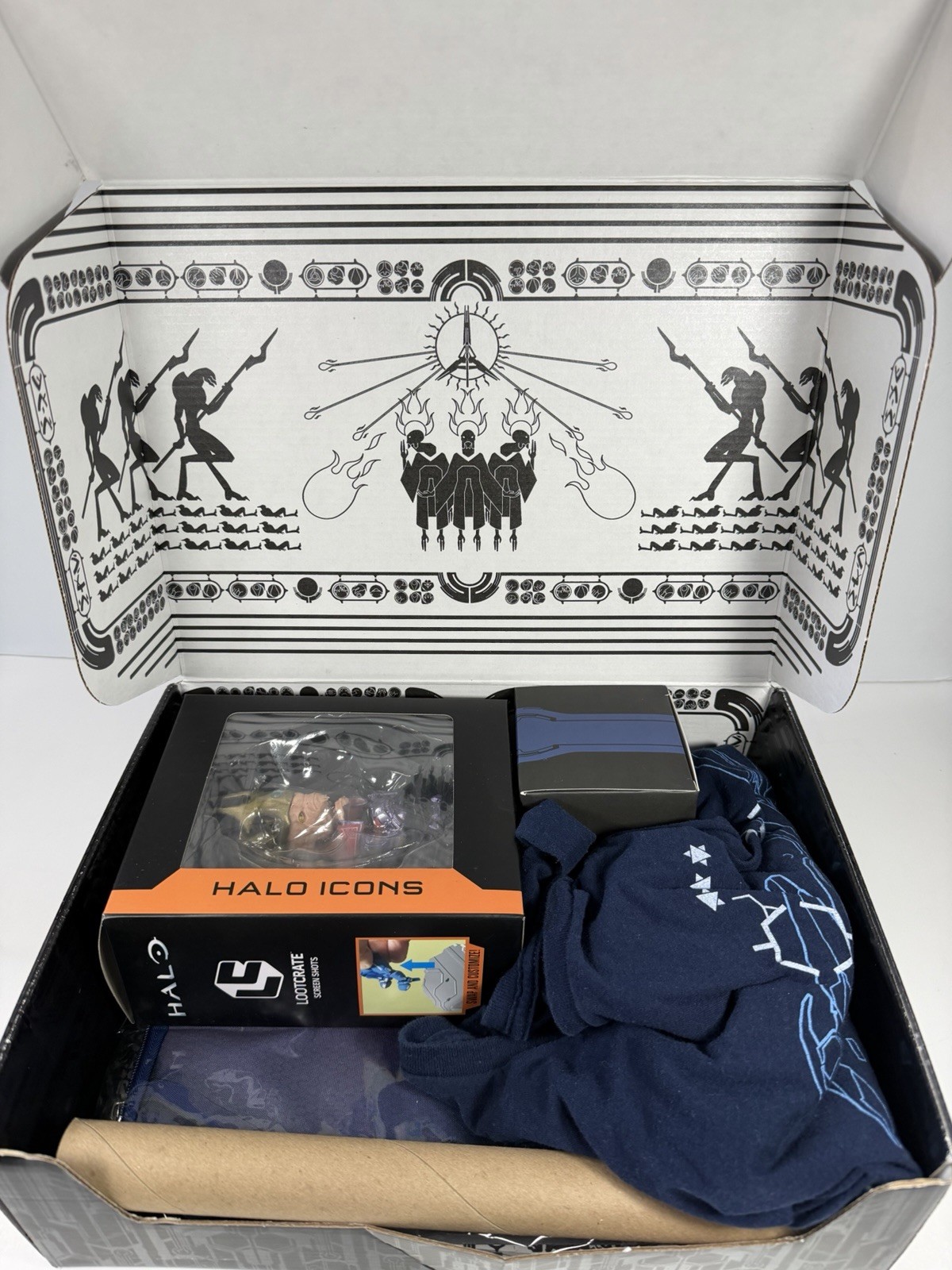Halo Legendary Loot Crate TRUTH Foretold Halo Icons Prophet 100% Complete