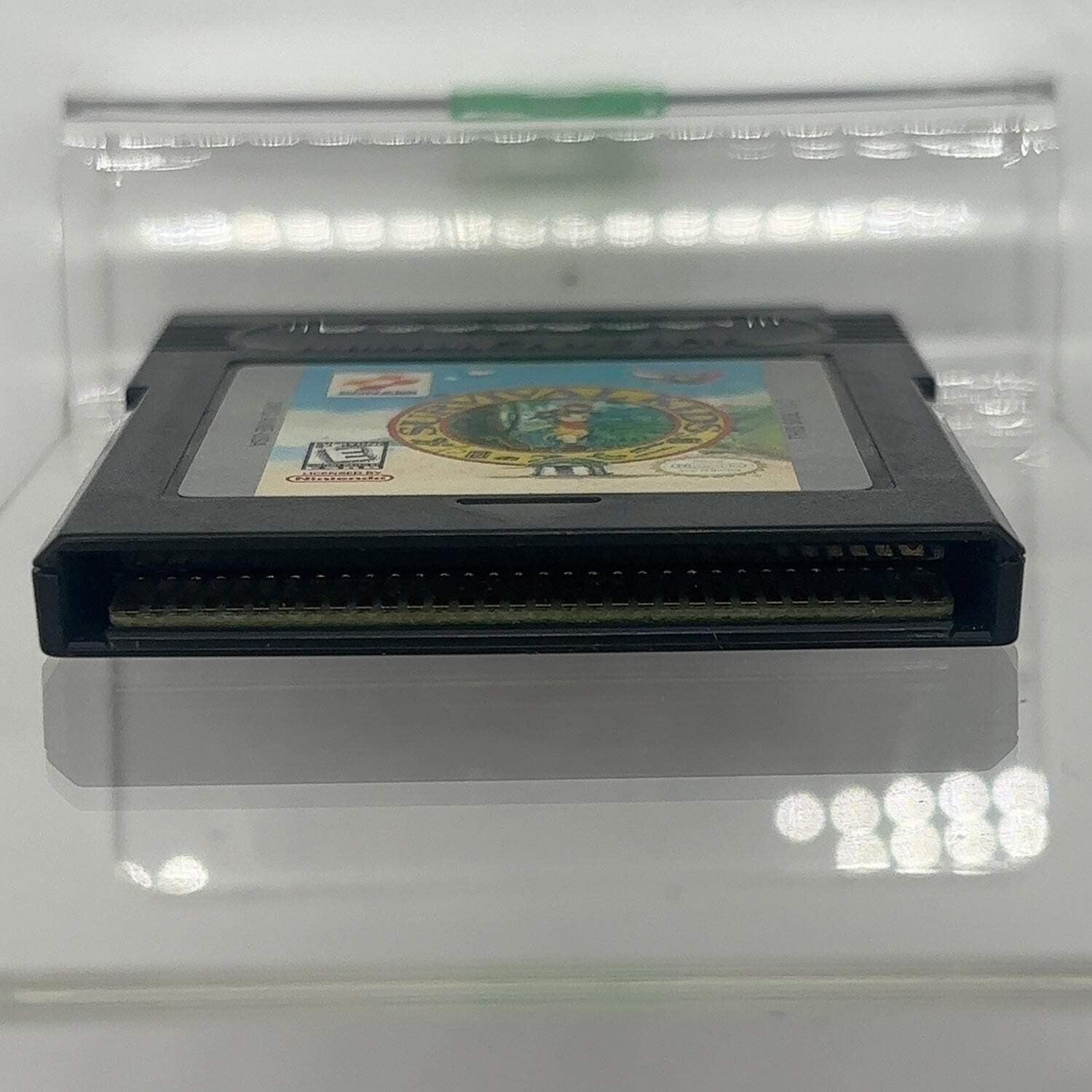 Survival Kids (Nintendo GameBoy Color, 1999) Cartridge Only