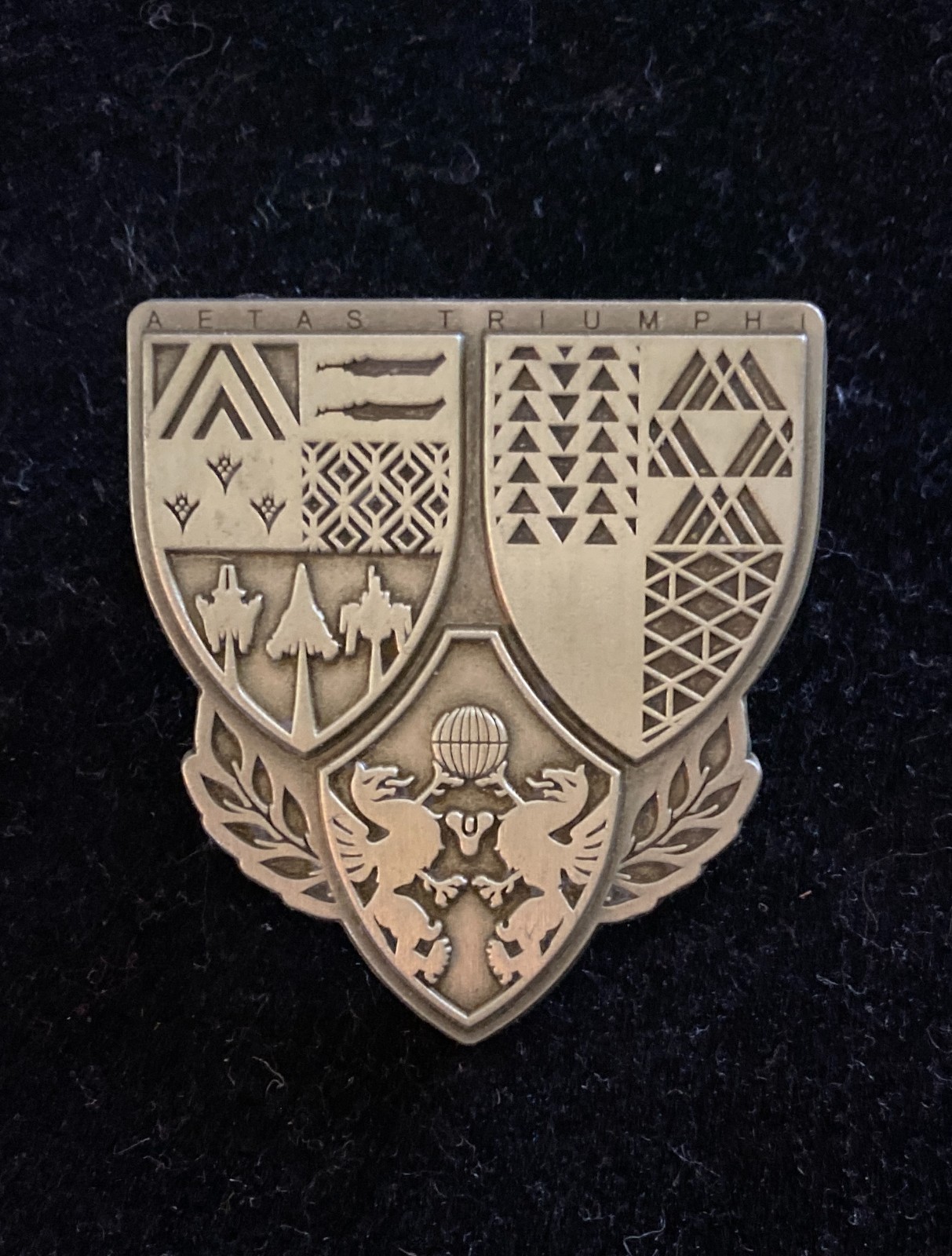 Destiny 2 Aetas Triumph (Guardian Pin) Guardian Con 2019 Rare/Retired 2500 Made!