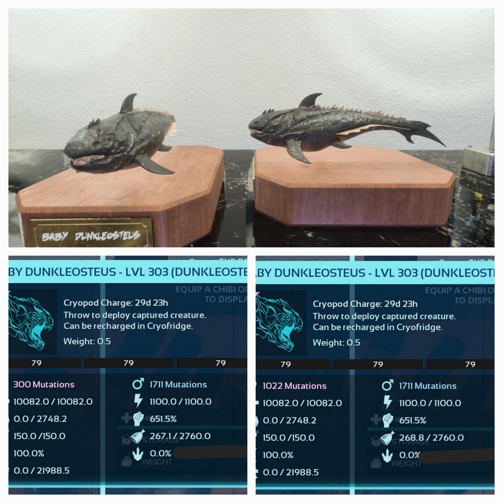 ARK ASCENDED PVE OFICIAL PAIR BABY DUNK FULL BLACK ID79 TOP STATUS PC/XBOX/PS5