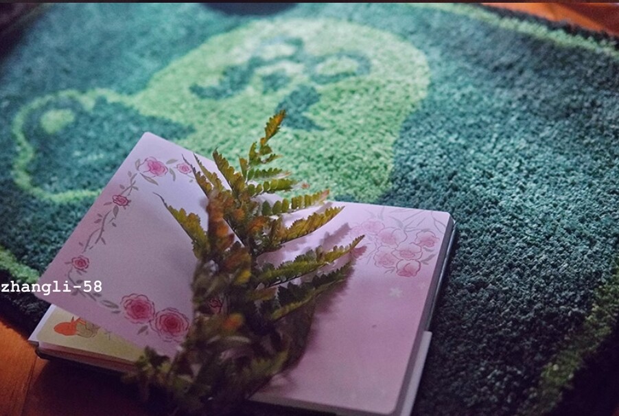 Game Animal Crossing Brewster Coffee Green Carpet Tufting Floor Mat Soft 80*60cm
