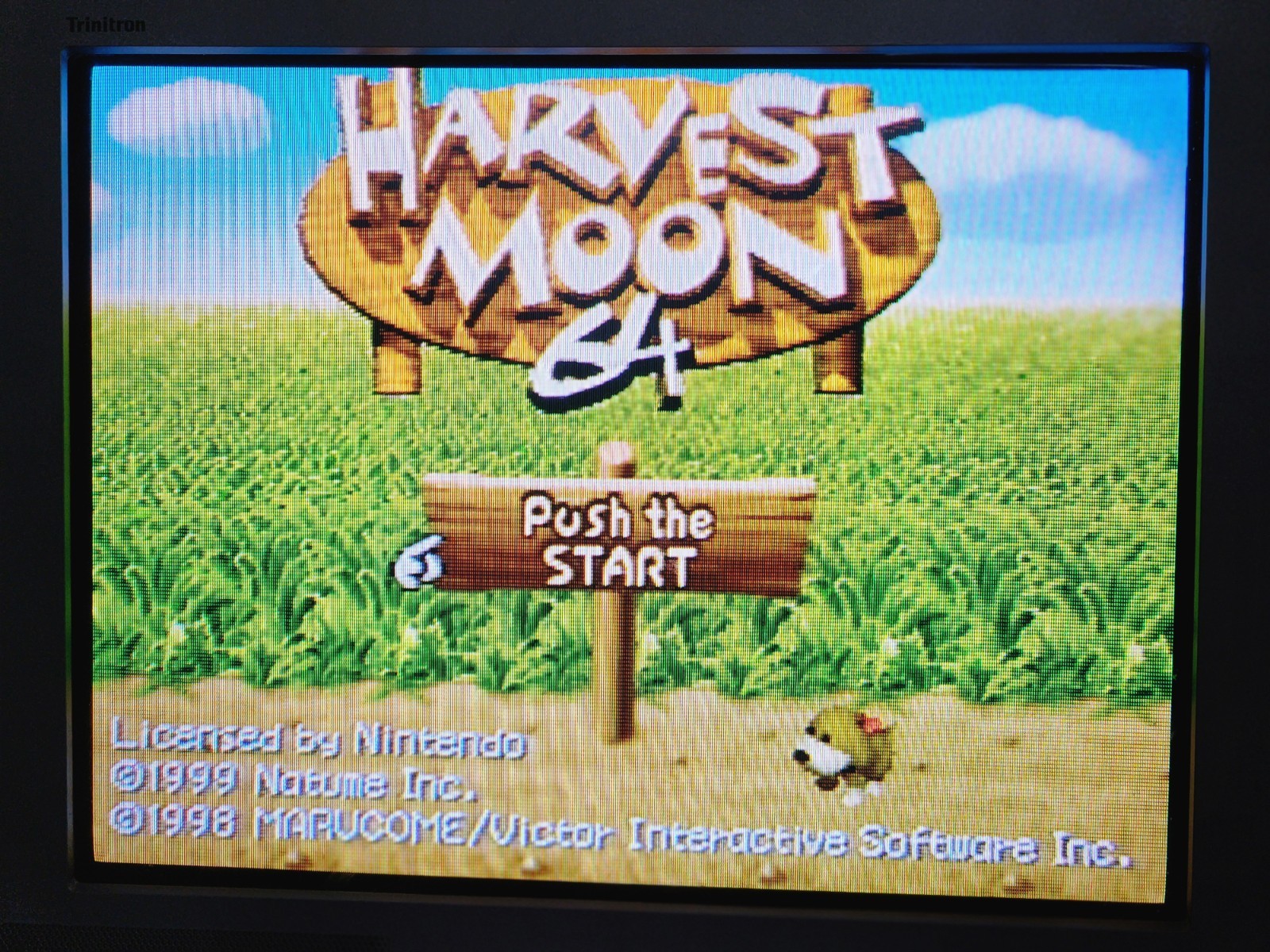 Harvest Moon 64 Nintendo 64 N64 Cart & Manual Authentic Tested