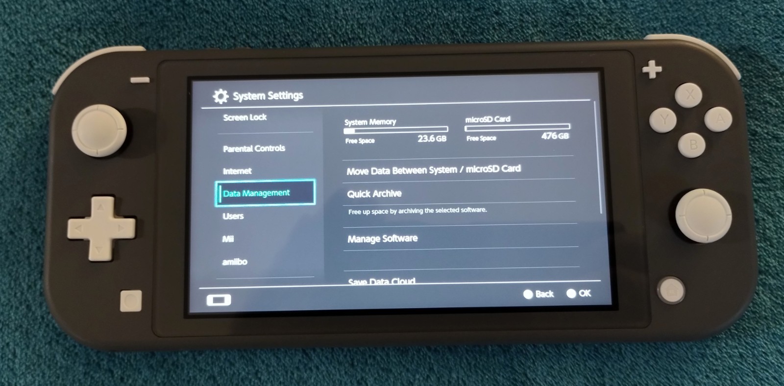 Nintendo Switch Lite, Bundle, 32gb + 500gb microSD, 5 Games
