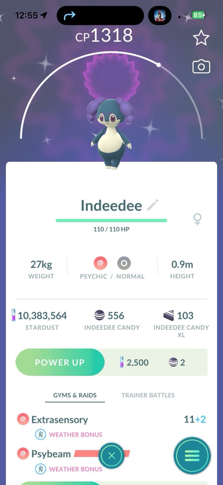 Pokémon PTC GO | LVL 70 |113✨|10.3☄️ Charcadet, Bg Ditto X 9