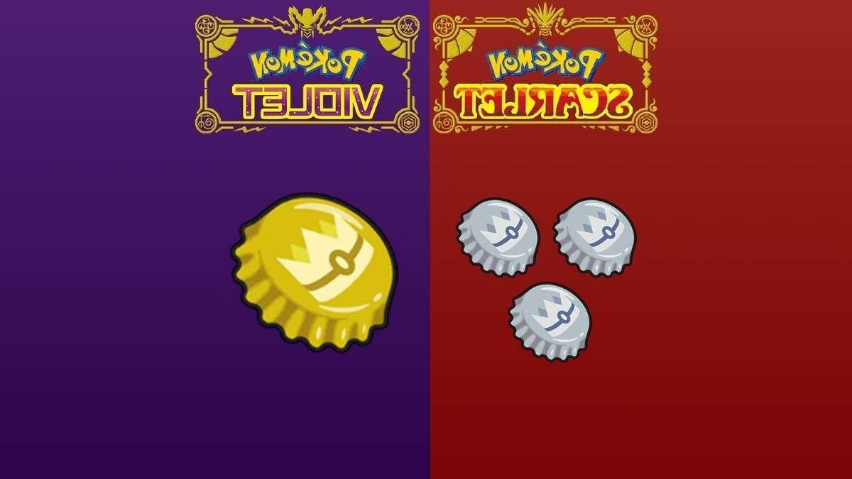 Any Item Listed below From Pokemon Scarlet and Violet Like Apriballs and Patches
