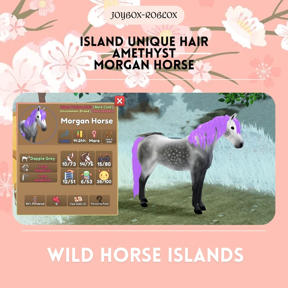 🐎 Wild Horse Islands 🐎 IUH All Coats RC Morgan Horse 🐴