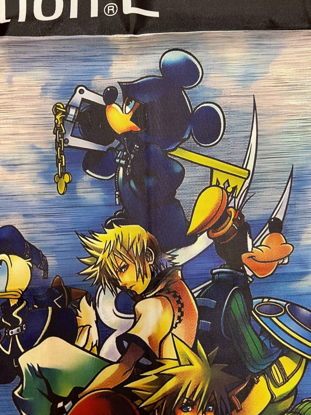 Kingdom Hearts 2 PS2 Custom Wall Flag Banner Tapestry 2 x 3 Ft, Playstation 2
