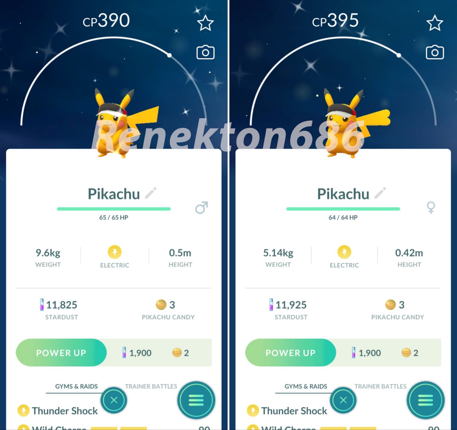 Shiny Pikachu marathon visor hat – PTCs 0r Trade