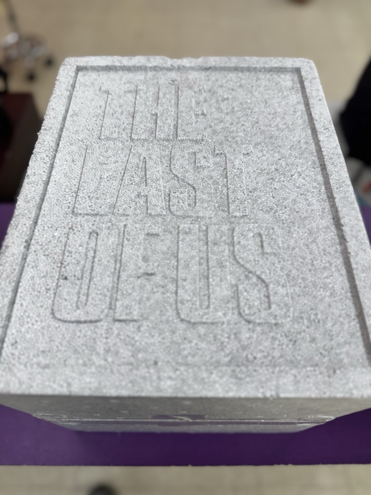 The Last of Us: Post Pandemic Edition (Playstation 3, 2013)