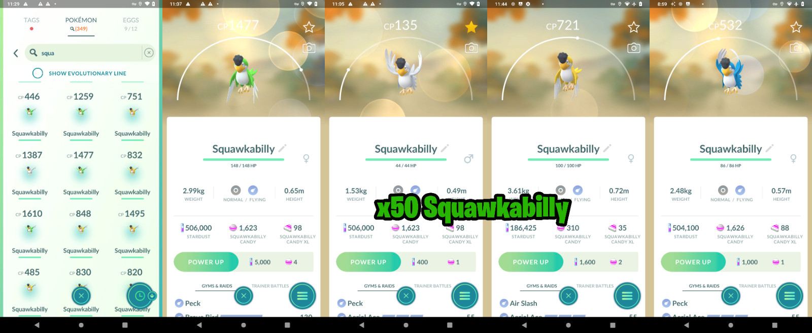 Squawkabilly x50 Collection 4 Color ( Yellow – Blue – Green – White) | P—T—C