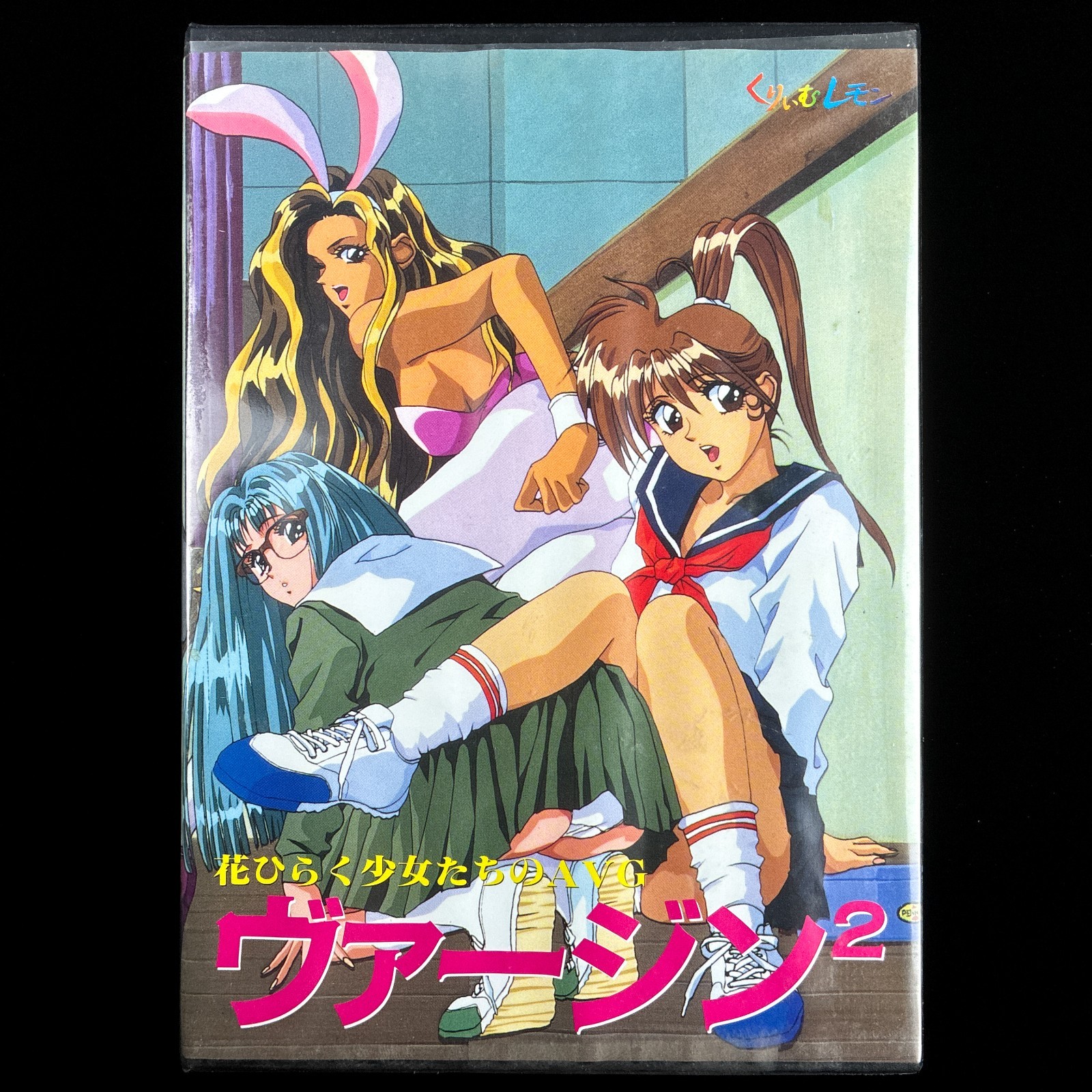 1995 Virgin 2 Hana Hiraku Shoujo-tachi no AVG PC-9801 PC98 Visual Novel Game