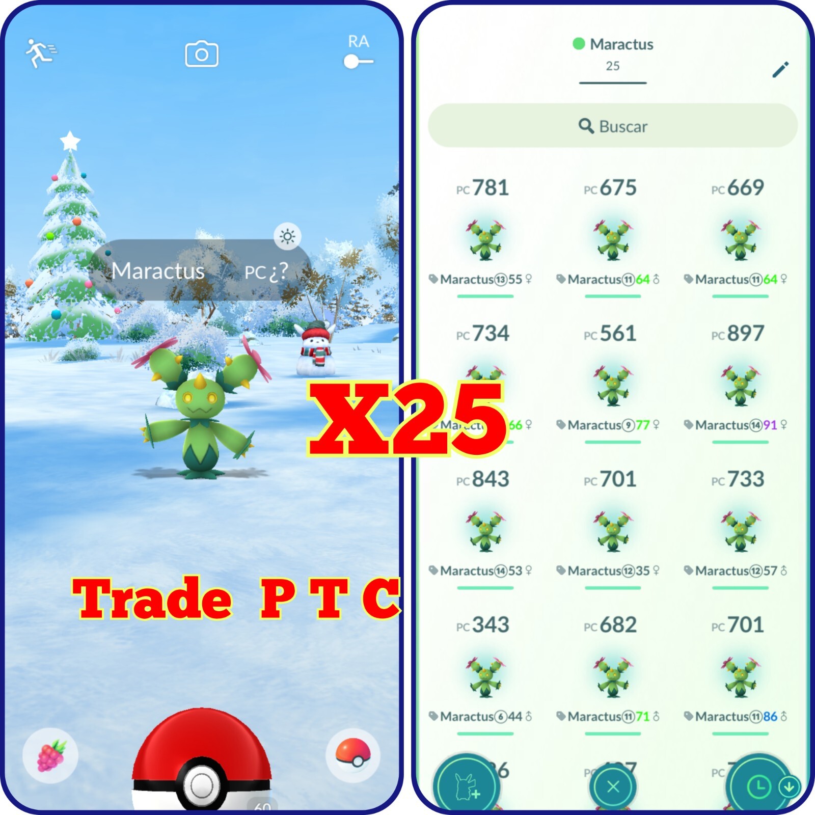 México Regional: (×25) Maractus | tra de Go