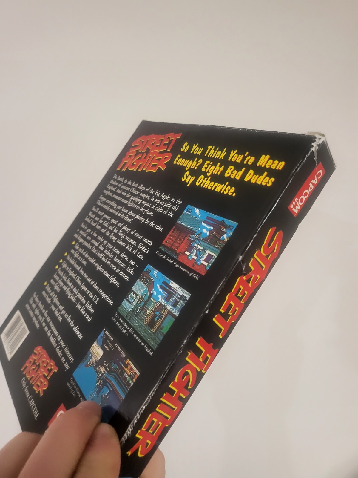 Street fighter big box pc game (medium box)