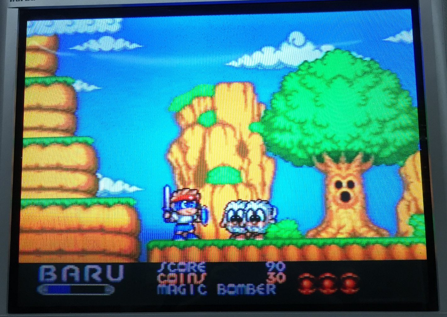 CHIKI CHIKI BOYS Sega Genesis GAME CARTRIDGE ONLY Authentic TESTED & WORKING