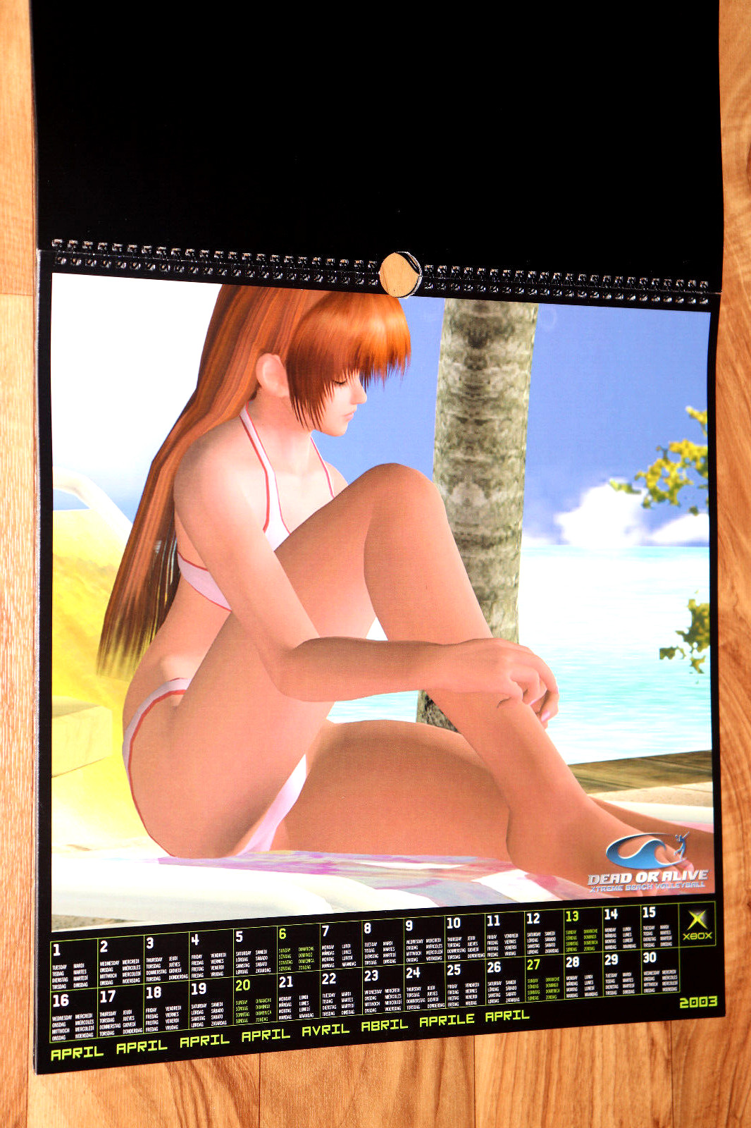 2003 Dead or Alive Xtreme Beach Volleyball Very Rare Calendar Collectible