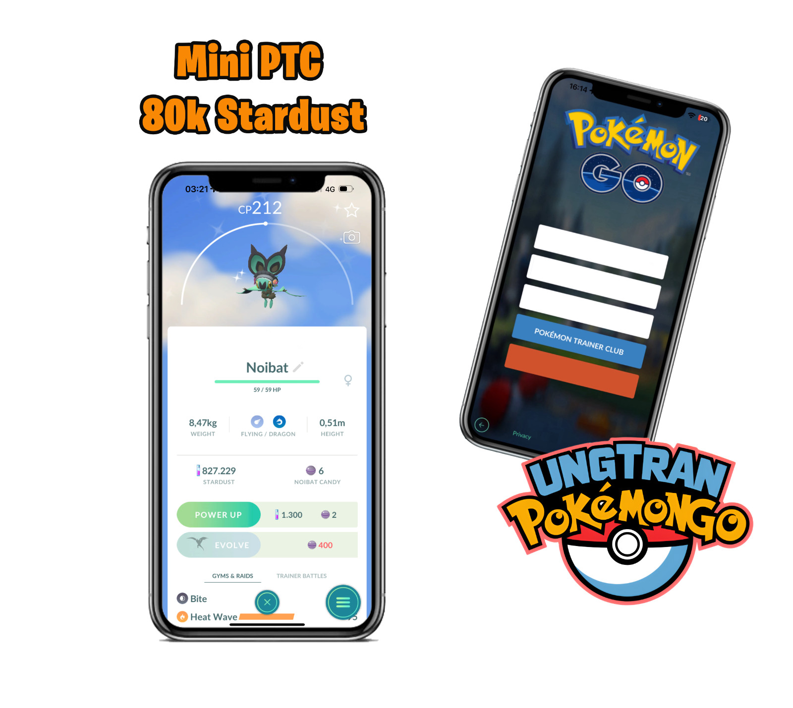 Shiny Noibat wearing a headband – mini P T C 100k stardust
