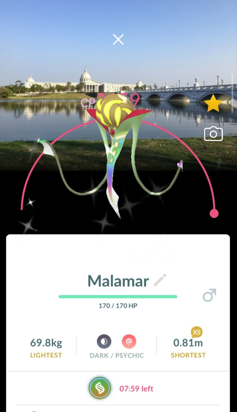 ONE OF A KIND – FROM 7th Tier EGG SHINY Background MALAMAR – Tainan, Taiwan