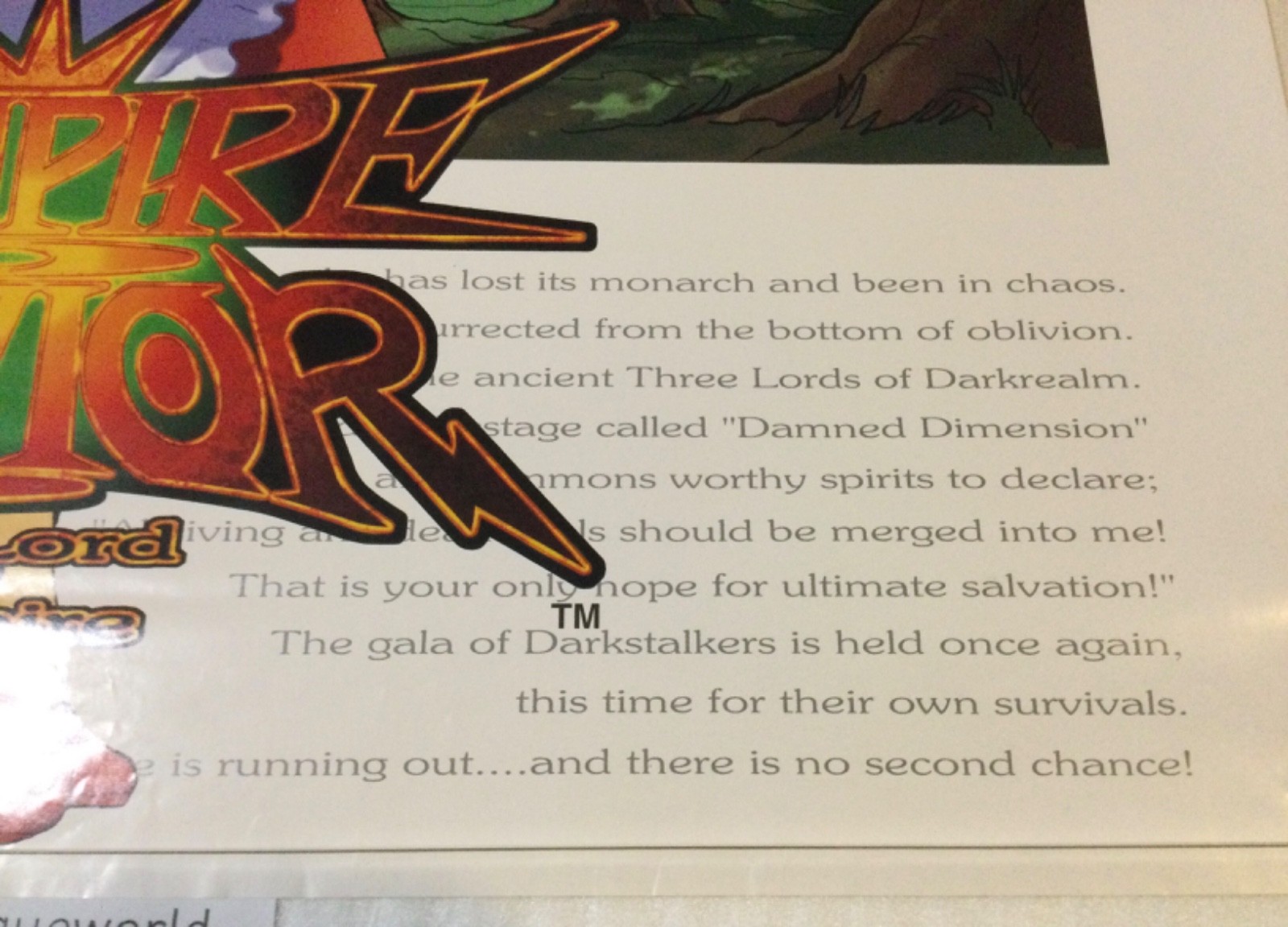 VAMPIRE SAVIOR Darkstalkers BIG Arcade Promo Poster Display 1997 CAPCOM B1 RARE